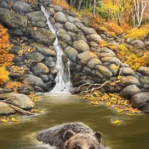 "fall bear"