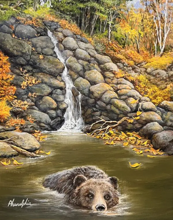 "fall bear"