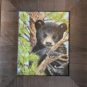 Baby Bear In Tree 2