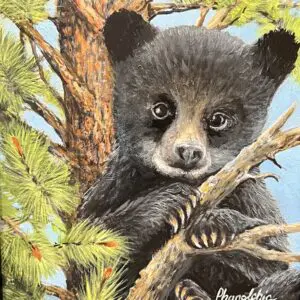 baby bear in tree