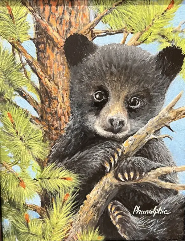 baby bear in tree