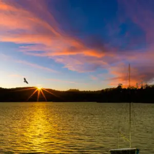 Photo of Lake Arrowhead Rimscapes — alternate view