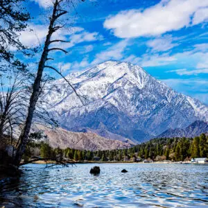 Photo of Lake Gregory Rimscapes — alternate view