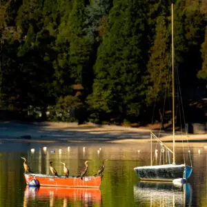 Photo of Lake Gregory Rimscapes — alternate view