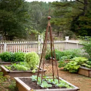 metal garden trellis