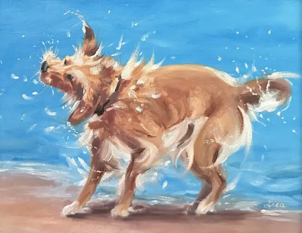 Splash Splash Splash