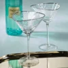 Aperitivo Triangular Martini Glass by ZODAX in Clear with Platinum Rim
